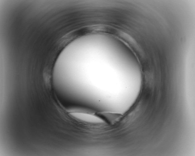 X0000088461225200706051318