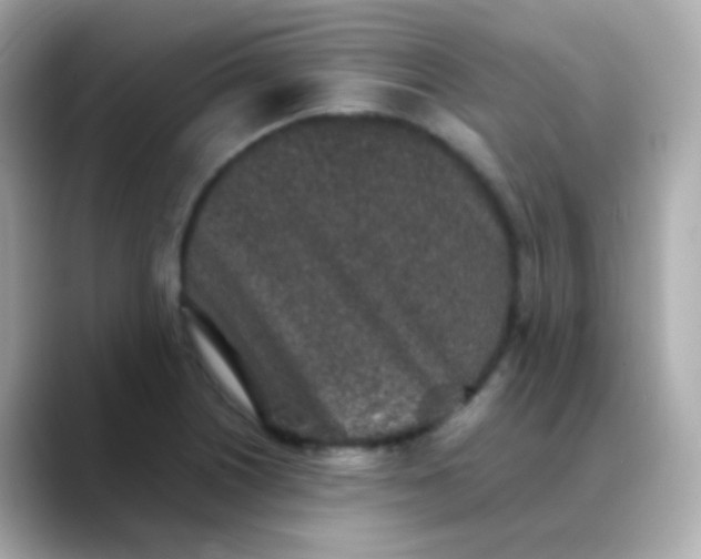 X0000088461226200706051318