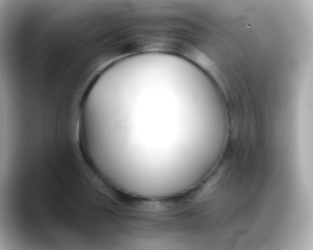 X0000088461227200706051318