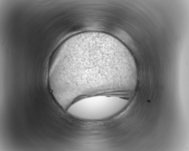 X0000088461228200706051318