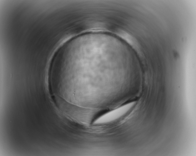 X0000088461229200706051318