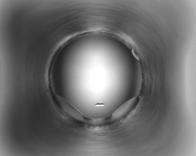 X0000088461230200706051318