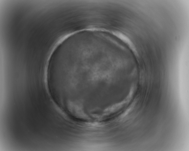 X0000088461231200706051318