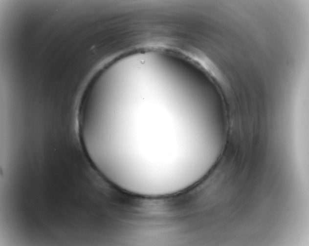 X0000088461232200706051318