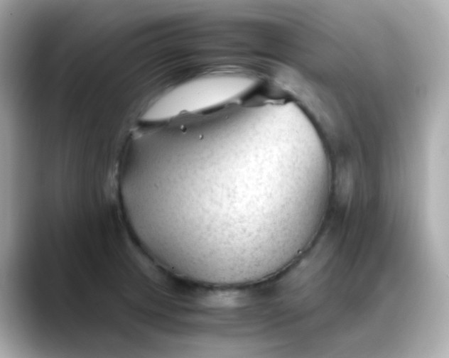 X0000088461233200706051318