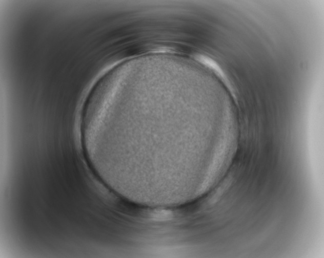 X0000088461235200706051318