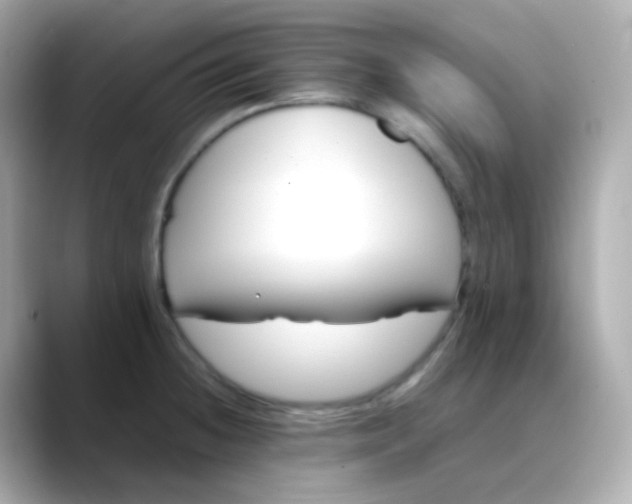 X0000088461236200706051318