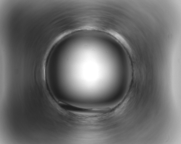 X0000088461238200706051318