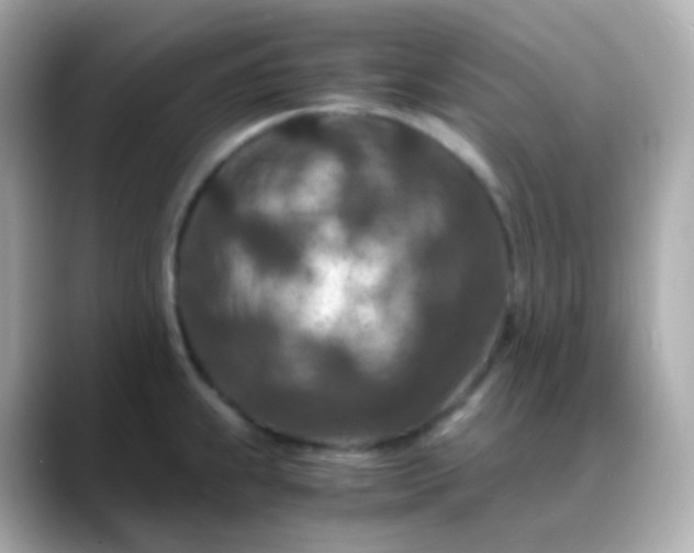 X0000088461239200706051318