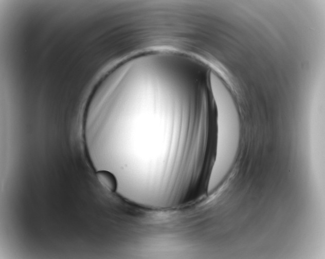 X0000088461240200706051318