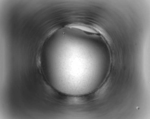 X0000088461241200706051318