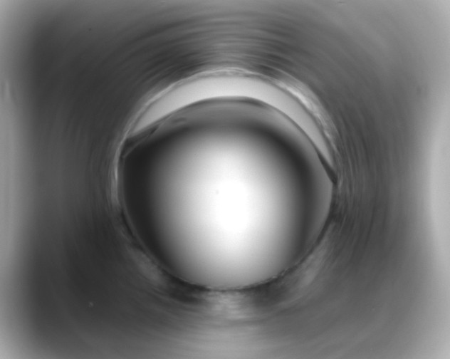 X0000088461242200706051318