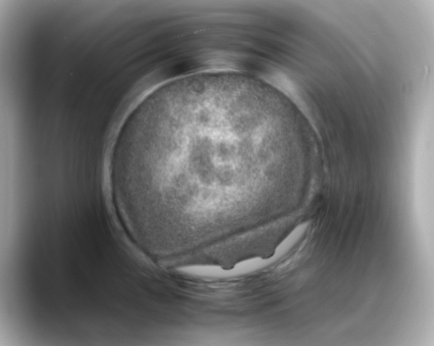 X0000088461243200706051318