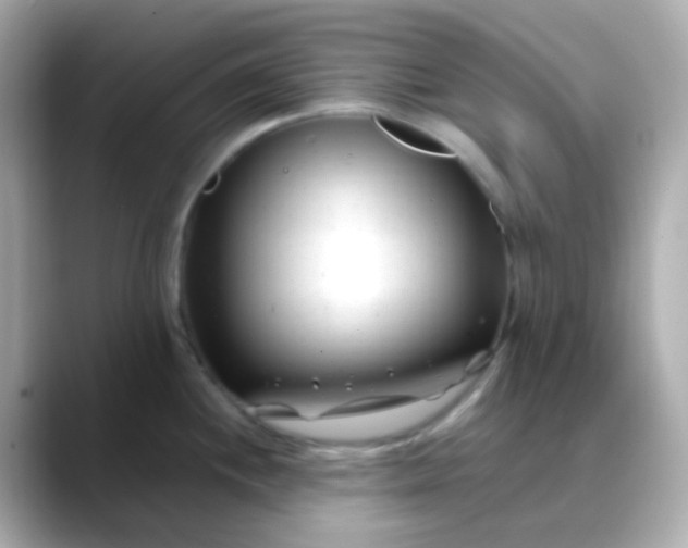 X0000088461244200706051318