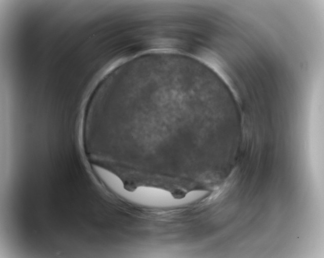 X0000088461245200706051318