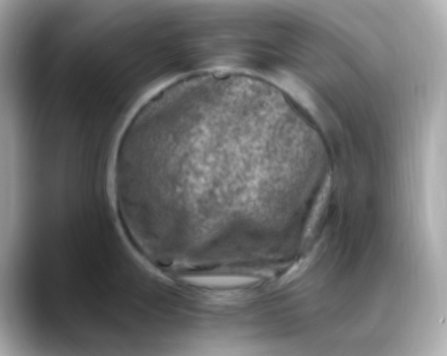 X0000088461247200706051318