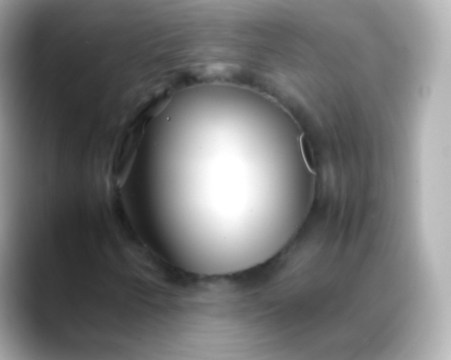 X0000088461250200706051318