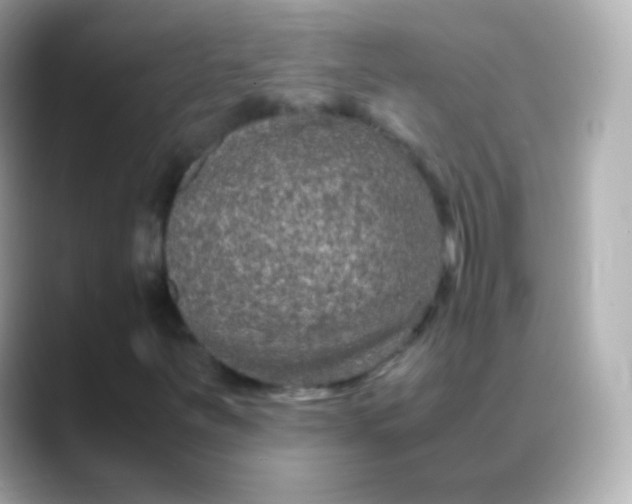 X0000088461251200706051318