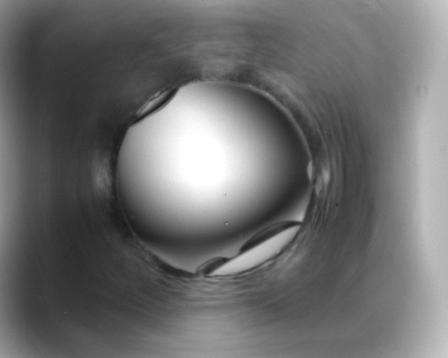 X0000088461252200706051318