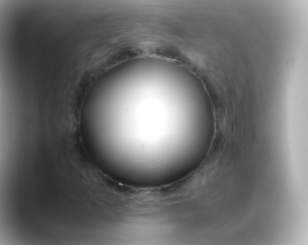 X0000088461253200706051318