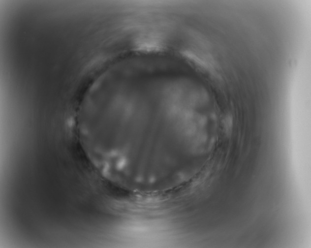 X0000088461254200706051318