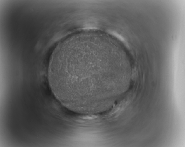 X0000088461255200706051318