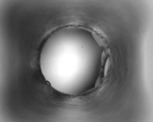 X0000088461256200706051318