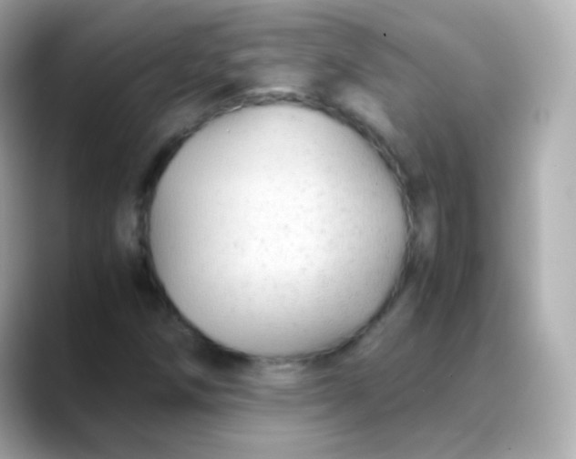 X0000088461258200706051318