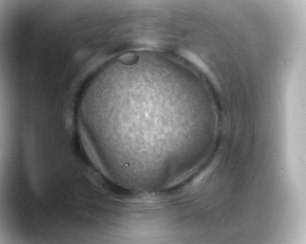 X0000088461259200706051318