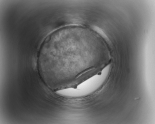 X0000088461260200706051318