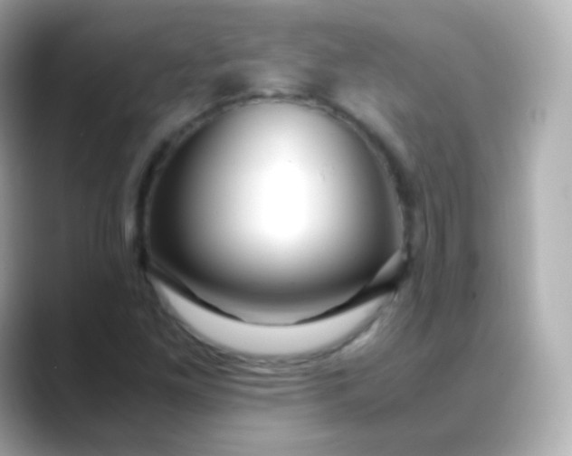 X0000088461261200706051318