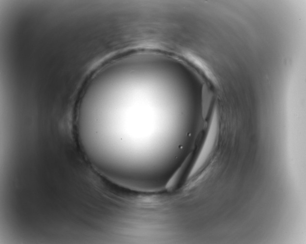 X0000088461264200706051318