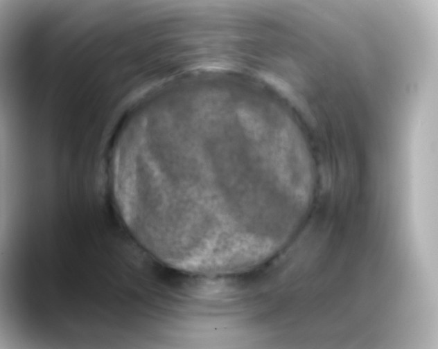 X0000088461266200706051318