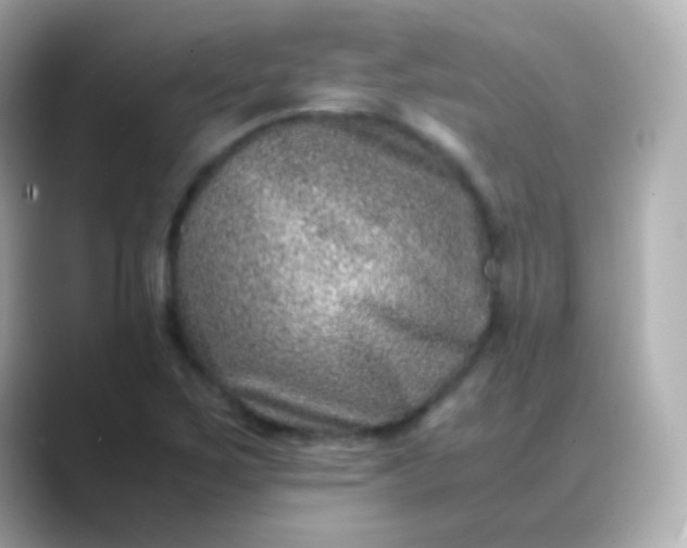 X0000088461267200706051318