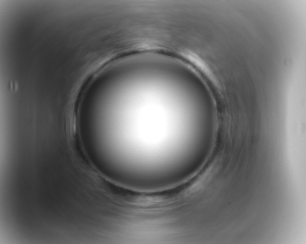 X0000088461269200706051318