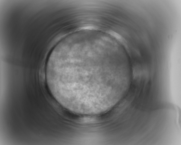 X0000088461274200706051318