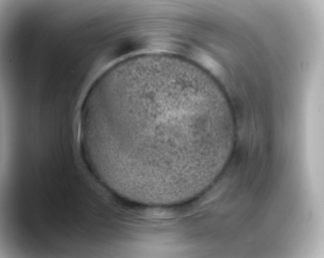 X0000088461275200706051318