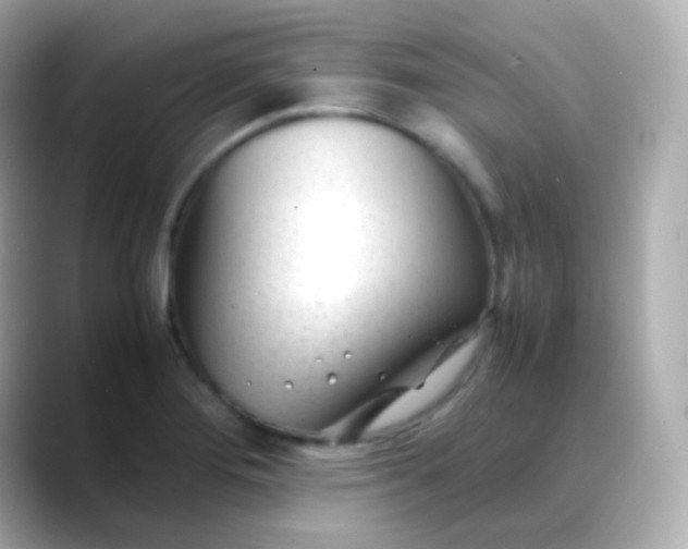 X0000088461276200706051318