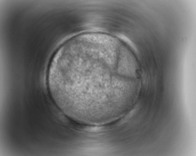 X0000088461278200706051318