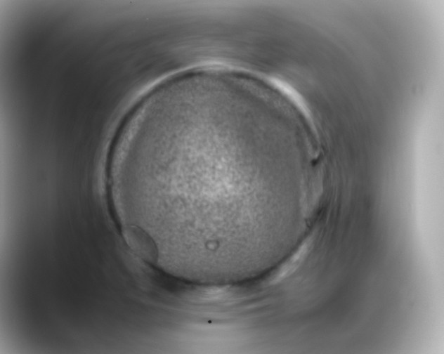 X0000088461279200706051318