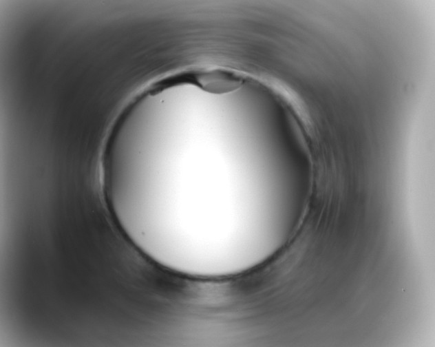 X0000088461280200706051318