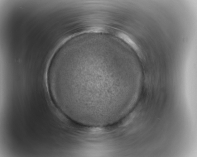 X0000088461283200706051317