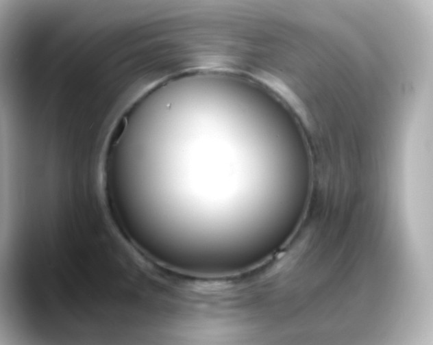 X0000088461285200706051317