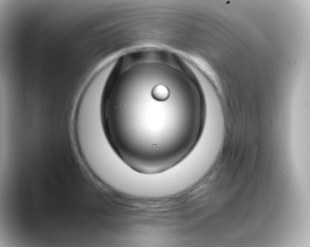 X0000088461287200706051317