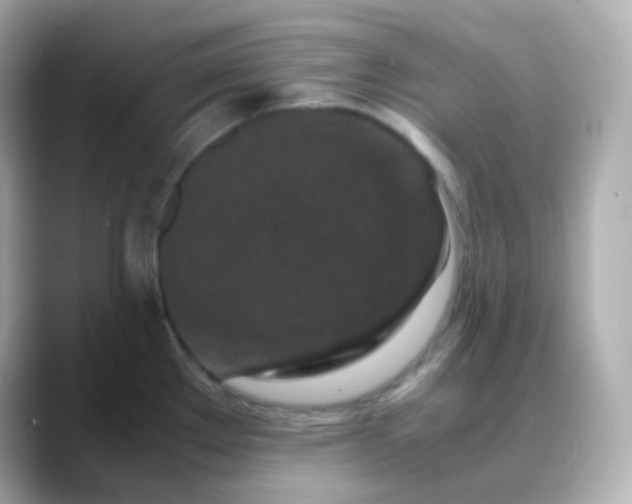 X0000088461289200706051317