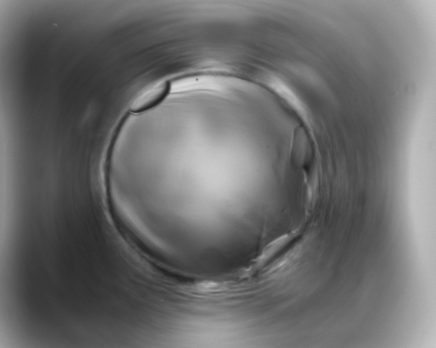 X0000088461291200706051317