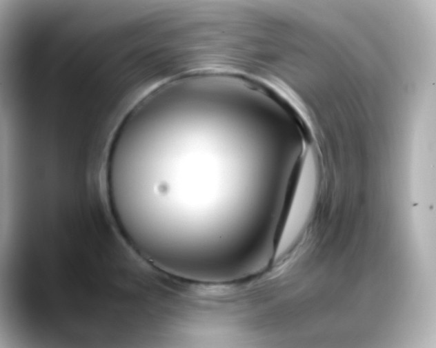 X0000088461293200706051317