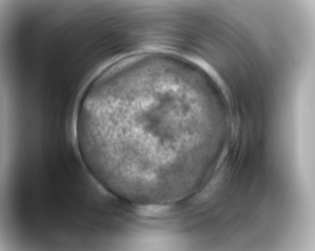 X0000088461294200706051317