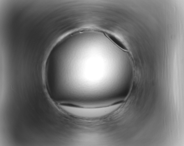 X0000088461295200706051317