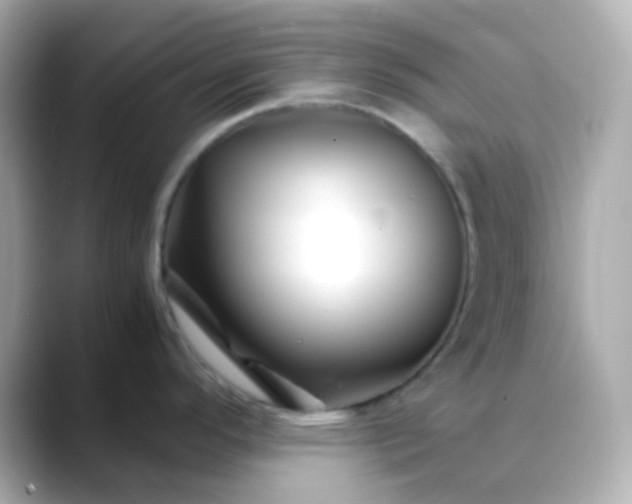 X0000088461296200706051317